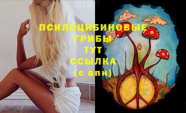 прущая мука Алзамай