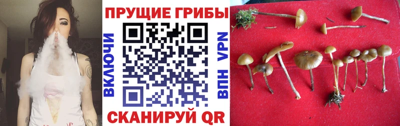 hydra онион  Туринск  Псилоцибиновые грибы ЛСД 
